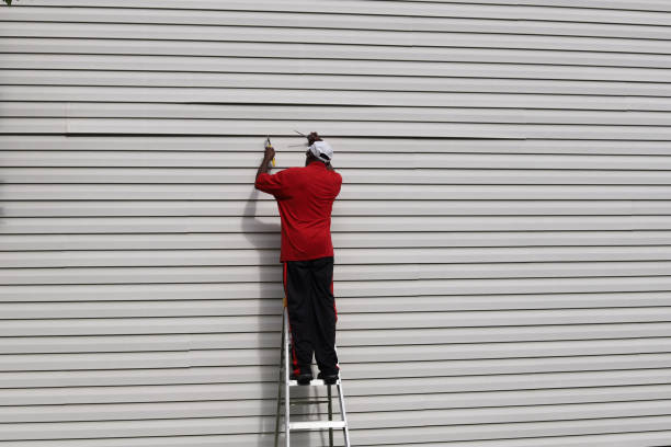 Best Stone Veneer Siding  in Springfield, GA