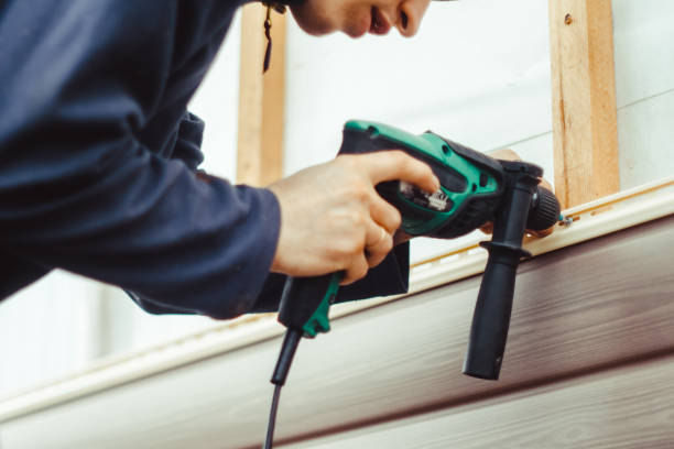 Best Siding Replacement  in Springfield, GA
